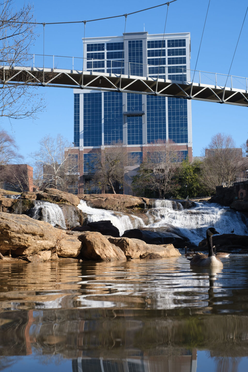 Camperdown Plaza Campus GrahamHodge Associates, Inc.